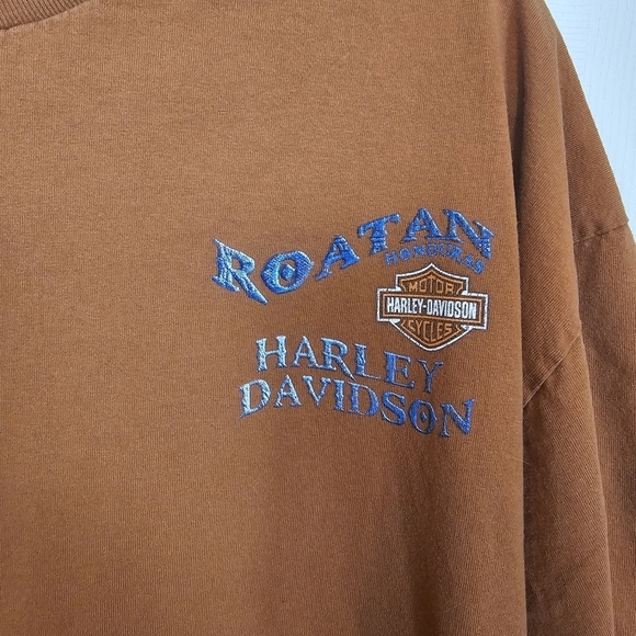 Harley Davidson Rust Grapic T-Shirt Plus Size - Picture 4 of 6